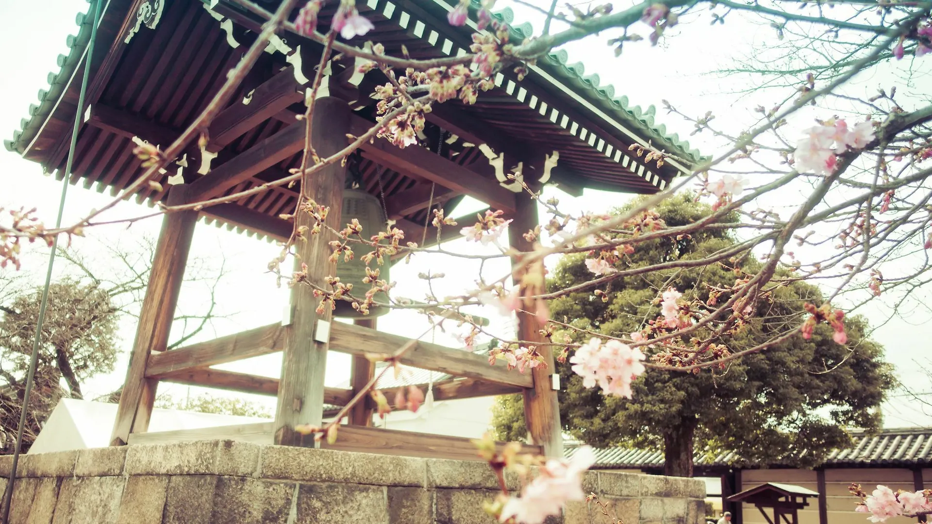 Semesterbostad Stay Sakura Kyoto Toji West II Japan